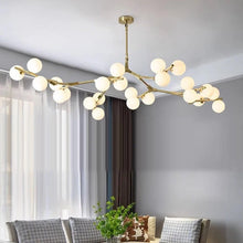 Load image into Gallery viewer, Astraia Chandelier Light
