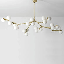 Load image into Gallery viewer, Astraia Chandelier Light
