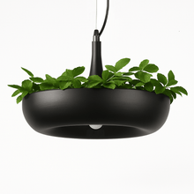 Carregar imagem no visualizador da galeria, Aula Pendant Light
