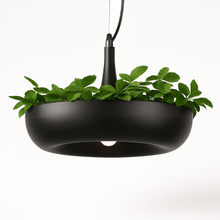 Carregar imagem no visualizador da galeria, Aula Pendant Light
