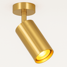 Carregar imagem no visualizador da galeria, Aurea Ceiling Light
