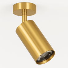 Carregar imagem no visualizador da galeria, Aurea Ceiling Light
