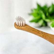 Carregar imagem no visualizador da galeria, Bamboo Cat Toothbrush
