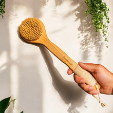 Carregar imagem no visualizador da galeria, Bamboo Dry Brush | Sisal Bristles
