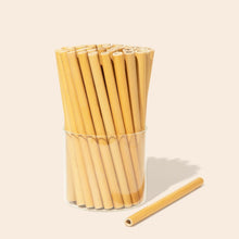 Load image into Gallery viewer, 10 Organic Bamboo Straws &amp; Coconut Fiber Straw Cleaner
