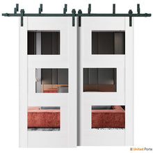 Carregar imagem no visualizador da galeria, Sete 6999 White Silk Double Barn Door with Mirror Glass and Black Bypass Rail
