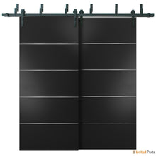 Cargar imagen en el visor de la galería, Planum 0020 Matte Black Double Barn Door and Black Bypass Rail
