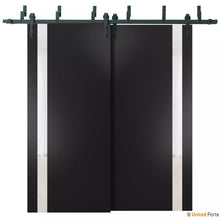 Load image into Gallery viewer, Planum 0040 Matte Black Double Barn Door with White Glass and Black Bypass Rail
