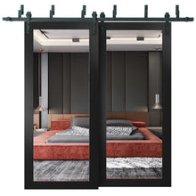 Load image into Gallery viewer, Lucia 1299 Matte Black Double Barn Door with Mirror Glass and Black Bypass Rail
