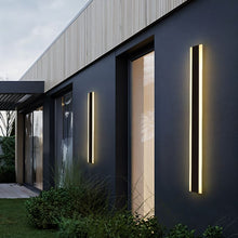 Load image into Gallery viewer, Baron Outdoor Wall Lamp
