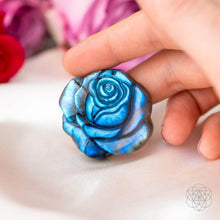 Carregar imagem no visualizador da galeria, Beautifully Unique - Blossoming Rose of Singularity
