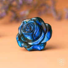 Carregar imagem no visualizador da galeria, Beautifully Unique - Blossoming Rose of Singularity
