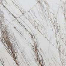 Carregar imagem no visualizador da galeria, Bianco Rigata Exotic Marble Polished Floor and Wall Tile - Large Format - Livfloors Collection
