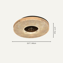 Carregar imagem no visualizador da galeria, Blaca Ceiling Light

