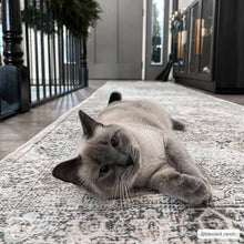 Load image into Gallery viewer, Olive Holi-2304 Washable Area Rug
