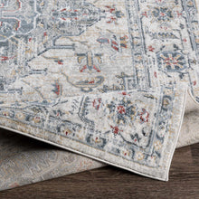 Carregar imagem no visualizador da galeria, Billings Area Rug - Clearance
