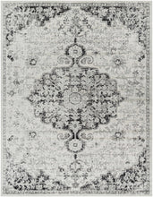 Load image into Gallery viewer, Bodrum Gray Area Rug
