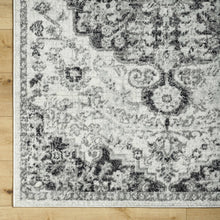Load image into Gallery viewer, Bodrum Gray Area Rug
