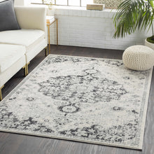 Load image into Gallery viewer, Bodrum Gray Area Rug
