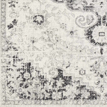 Load image into Gallery viewer, Bodrum Gray Area Rug
