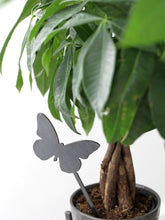 Carregar imagem no visualizador da galeria, Butterfly Plant Stake
