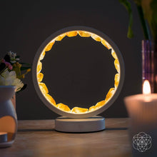 Carregar imagem no visualizador da galeria, Calm &amp; Abundant Bundle (Best value)
