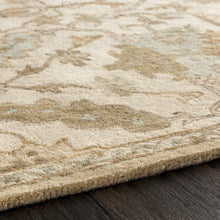 Cargar imagen en el visor de la galería, Carrolltown Area Rug

