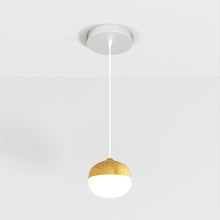 Carregar imagem no visualizador da galeria, Castanea Pendant Light
