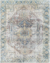 Carregar imagem no visualizador da galeria, Blue Catigpian Distressed Washable Area Rug - Clearance
