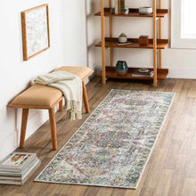 Carregar imagem no visualizador da galeria, Blue Catigpian Distressed Washable Area Rug - Clearance
