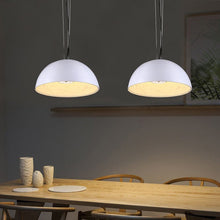 Load image into Gallery viewer, Cedrus Skygarden Pendant Light
