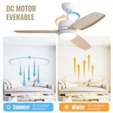 Carregar imagem no visualizador da galeria, Ceiling Fans with Light with Reversible DC Motor and Adjustable Speed
