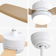Carregar imagem no visualizador da galeria, Ceiling Fans with Light with Reversible DC Motor and Adjustable Speed
