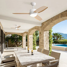 Carregar imagem no visualizador da galeria, Ceiling Fans with Light with Reversible DC Motor and Adjustable Speed
