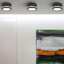 Load image into Gallery viewer, Celia Ceiling Light
