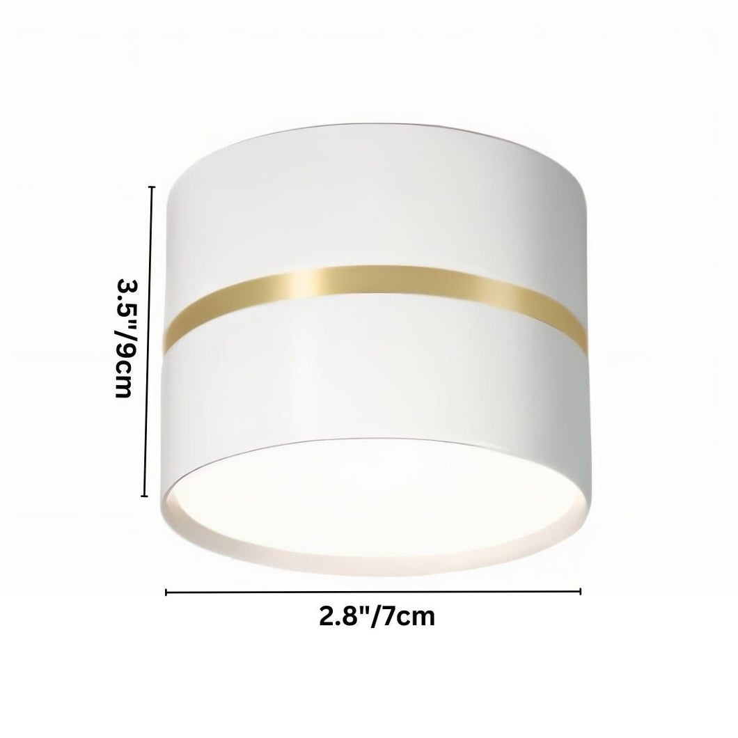 Chamani Downlight