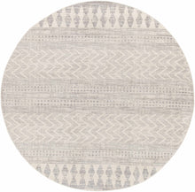 Load image into Gallery viewer, Chinnor Area Rug - Promo
