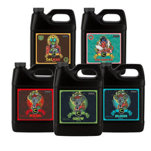 Carregar imagem no visualizador da galeria, Big Bud Kit: Complete Plant Nutrient Solution

