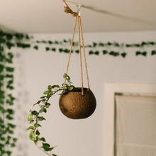 Load image into Gallery viewer, Coconut Planter with Jute Twine

