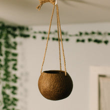 Load image into Gallery viewer, Coconut Planter with Jute Twine
