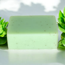 Load image into Gallery viewer, Cold Process Soap Bar | Tea Tree
