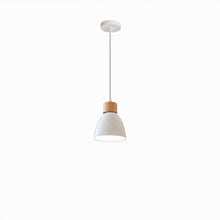 Cargar imagen en el visor de la galería, Colorato Pendant Light
