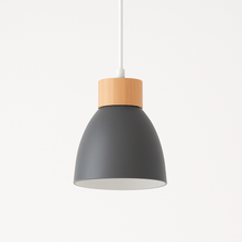 Load image into Gallery viewer, Colorato Pendant Light
