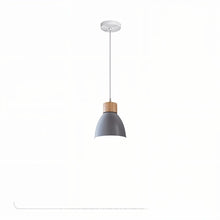 Cargar imagen en el visor de la galería, Colorato Pendant Light
