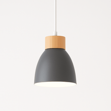 Load image into Gallery viewer, Colorato Pendant Light
