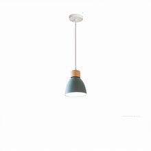 Load image into Gallery viewer, Colorato Pendant Light
