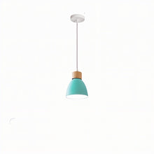 Cargar imagen en el visor de la galería, Colorato Pendant Light
