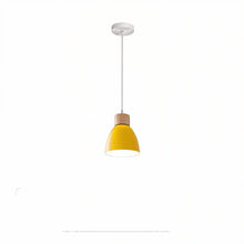 Cargar imagen en el visor de la galería, Colorato Pendant Light
