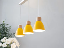 Carregar imagem no visualizador da galeria, Colorato Pendant Light
