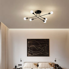 Carregar imagem no visualizador da galeria, Corazon Ceiling Light
